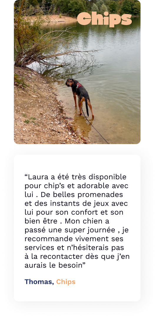 avis-woufissime-chips