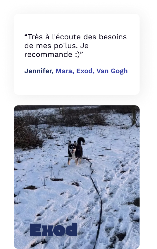 avis-woufissime-exod