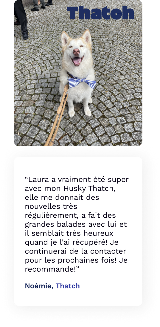 avis-woufissime-thatch